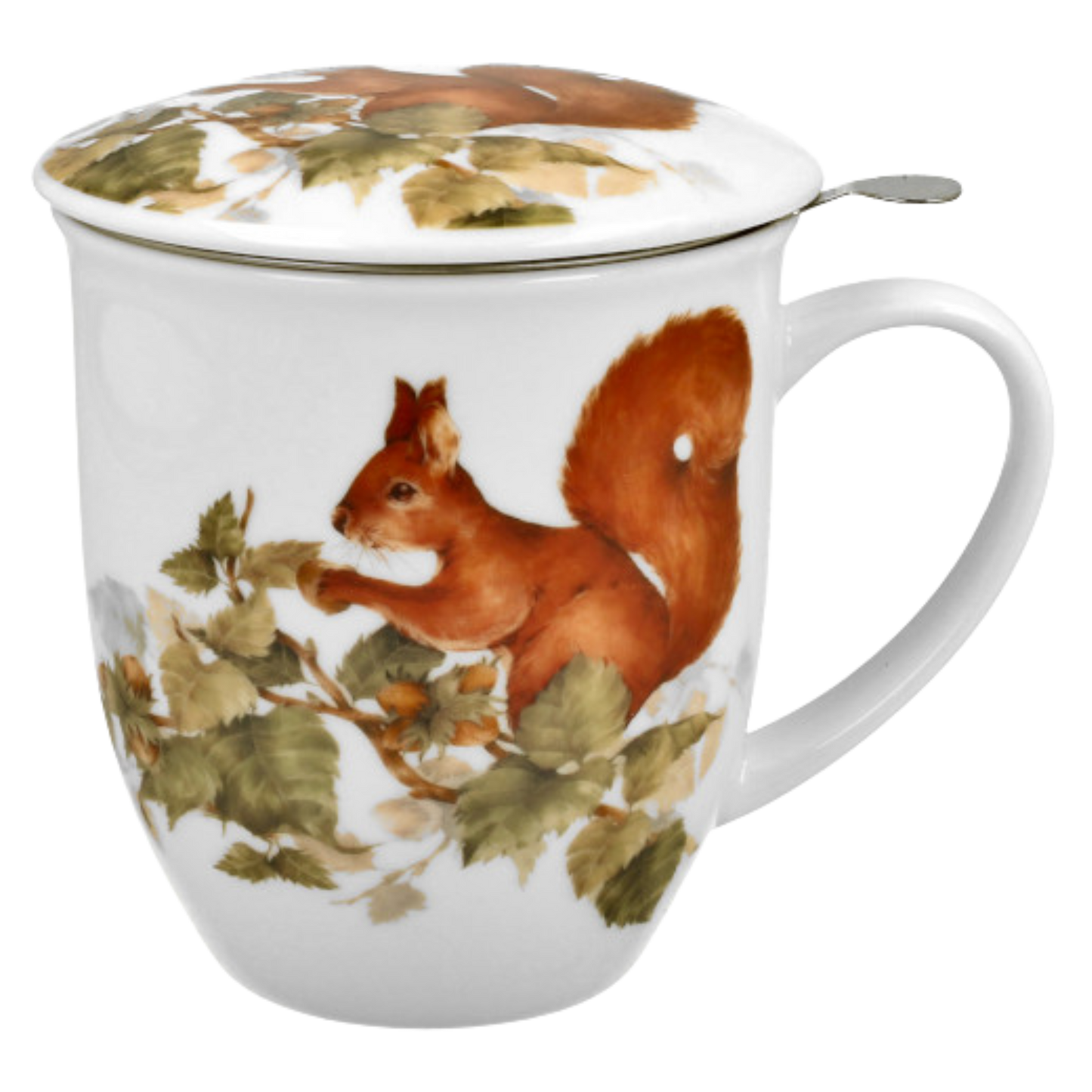 Taza ardilla