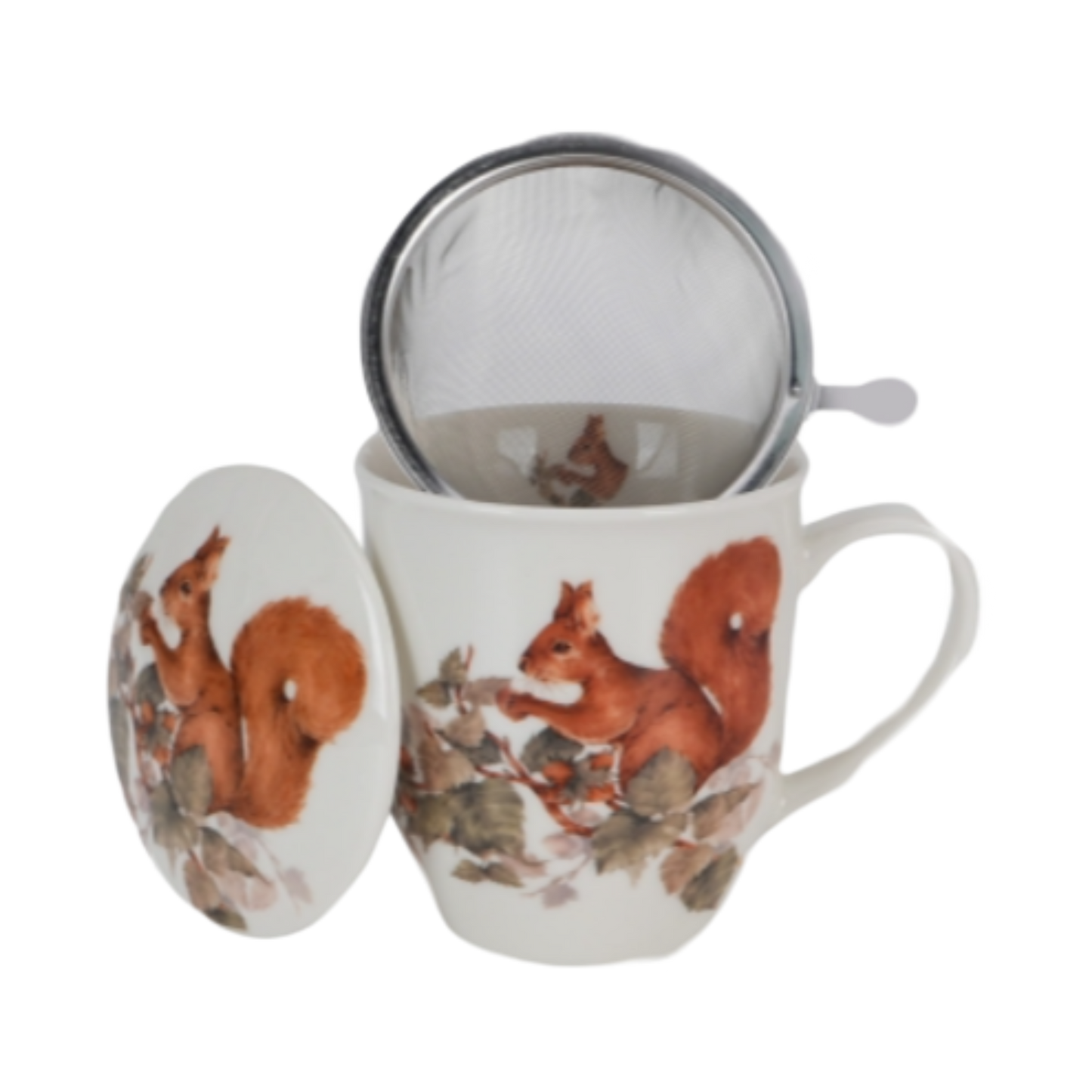 Taza ardilla