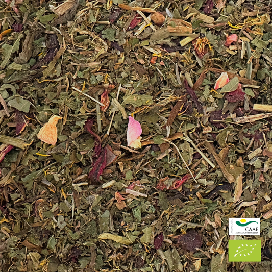 Infusión detox ECOLÓGICA